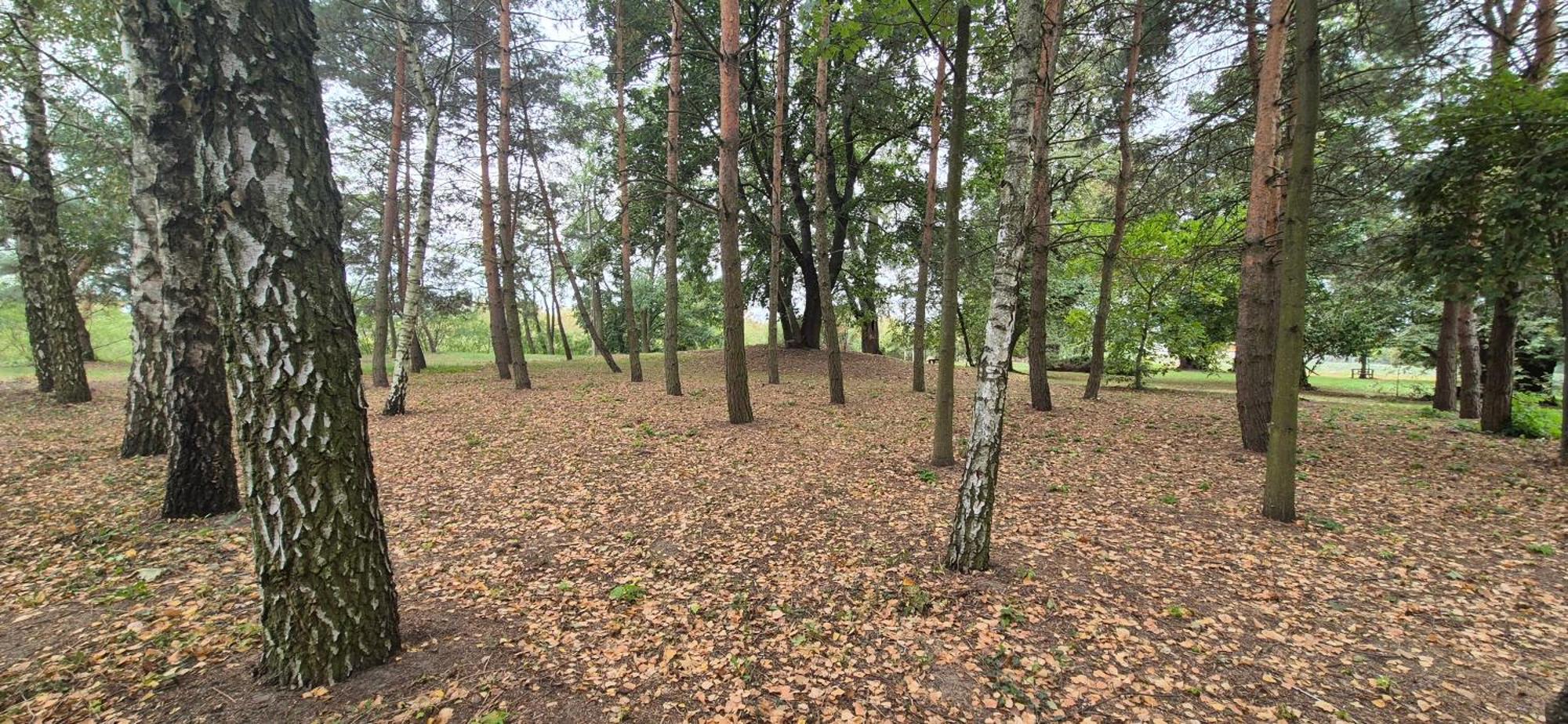 Kasztelania Pod Lipami Gospodarstwo agroturystyczne Zakroczym